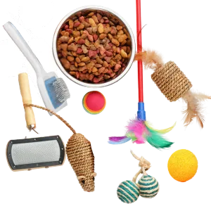 Accesorii pisici